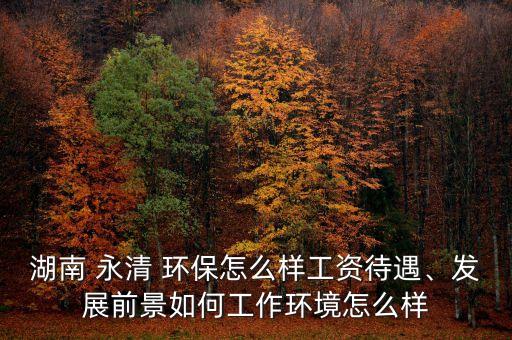 湖南 永清 環(huán)保怎么樣工資待遇、發(fā)展前景如何工作環(huán)境怎么樣