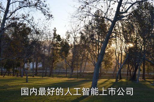 國內最好的人工智能上市公司