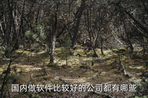 國內做軟件比較好的公司都有哪些