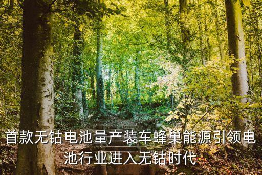 首款無鈷電池量產(chǎn)裝車蜂巢能源引領電池行業(yè)進入無鈷時代