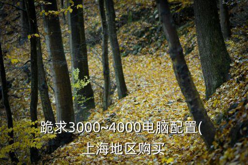 跪求3000~4000電腦配置( 上海地區(qū)購(gòu)買