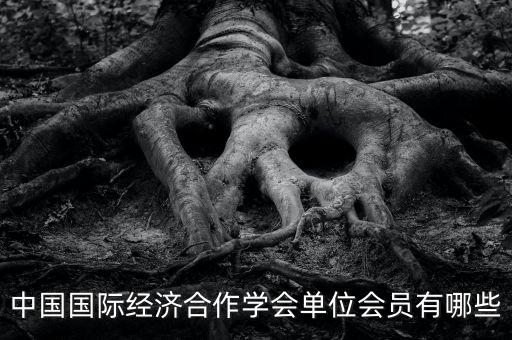 中國國際經(jīng)濟(jì)合作學(xué)會單位會員有哪些