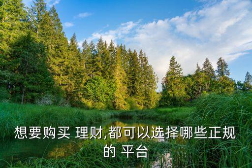 手機(jī)理財(cái)個(gè)人基金平臺,手機(jī)銀行里的理財(cái)和基金分別是什么