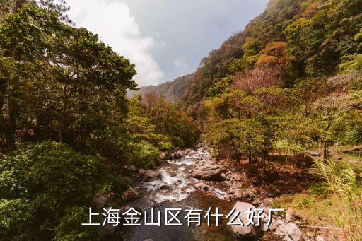  上海金山區(qū)有什么好廠(chǎng)