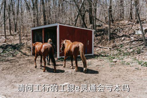 請(qǐng)問(wèn)工行的工銀e靈通會(huì)虧本嗎