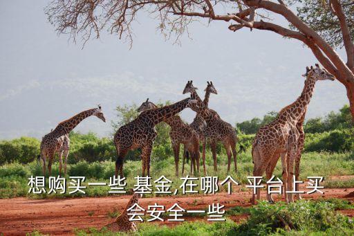第三方基金平臺(tái)排名,基金第三方代銷(xiāo)平臺(tái)排行