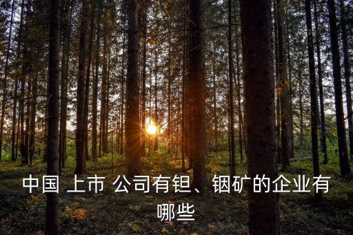 中國 上市 公司有鉭、銦礦的企業(yè)有哪些