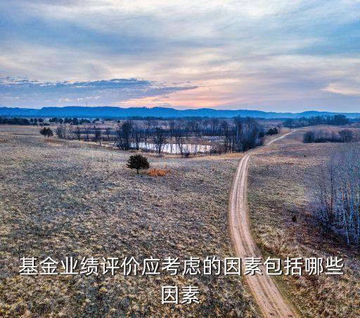  基金業(yè)績評價應考慮的因素包括哪些因素