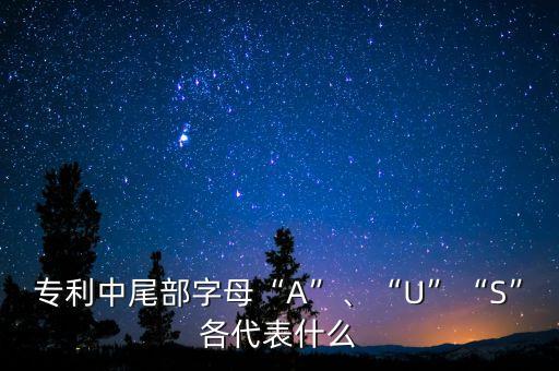專利中尾部字母“A”、“U”“S”各代表什么