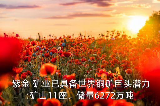  紫金 礦業(yè)已具備世界銅礦巨頭潛力:礦山11座、儲量6272萬噸
