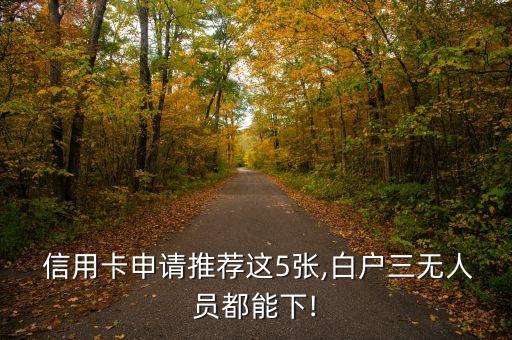  信用卡申請(qǐng)推薦這5張,白戶(hù)三無(wú)人員都能下!