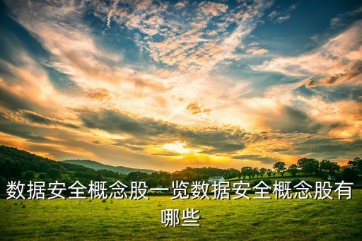 國內移動信息安全龍頭公司