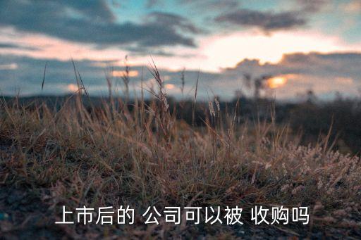  上市后的 公司可以被 收購嗎