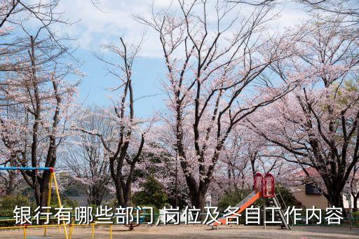 銀行有哪些部門,崗位及各自工作內容