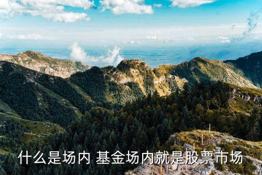 163804天天基金網(wǎng),中銀增長(zhǎng)基金凈值查詢(xún)163804