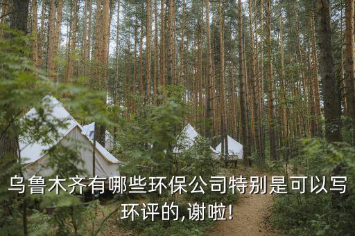 烏魯木齊有哪些環(huán)保公司特別是可以寫(xiě)環(huán)評(píng)的,謝啦!