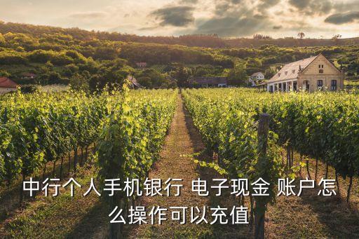 中行個(gè)人手機(jī)銀行 電子現(xiàn)金 賬戶(hù)怎么操作可以充值