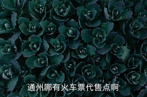 通州哪有火車(chē)票代售點(diǎn)啊