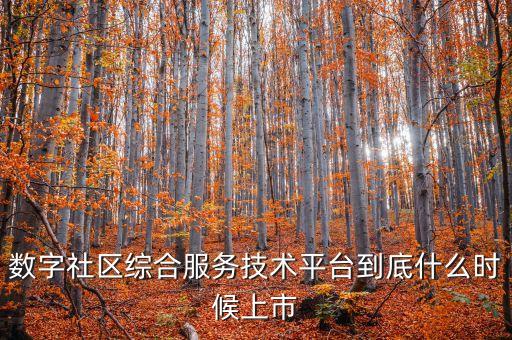 數(shù)字社區(qū)綜合服務技術(shù)平臺到底什么時候上市