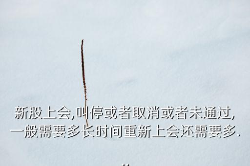 新股上會(huì),叫停或者取消或者未通過(guò),一般需要多長(zhǎng)時(shí)間重新上會(huì)還需要多...