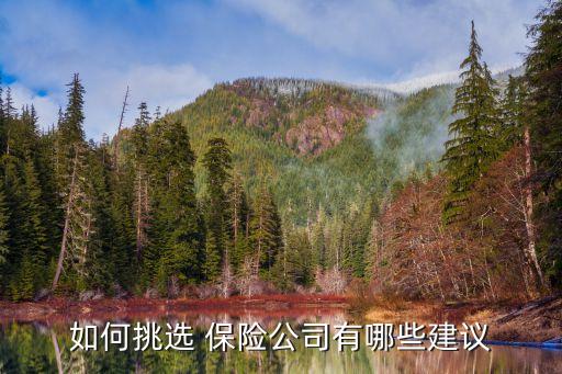 保險公司經驗萃取