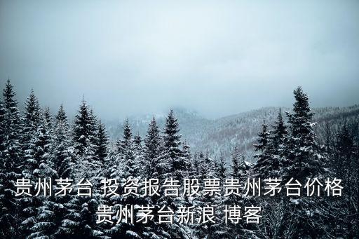 貴州茅臺 投資報(bào)告股票貴州茅臺價(jià)格貴州茅臺新浪 博客