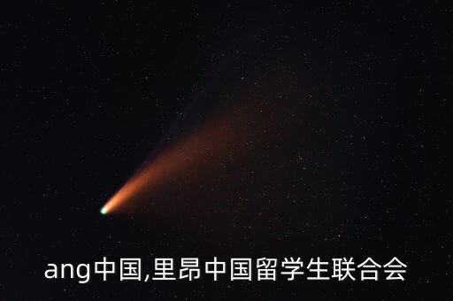 liang中國,里昂中國留學生聯合會