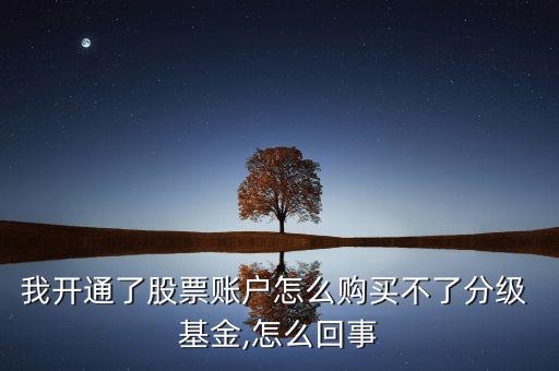 我開通了股票賬戶怎么購(gòu)買不了分級(jí) 基金,怎么回事