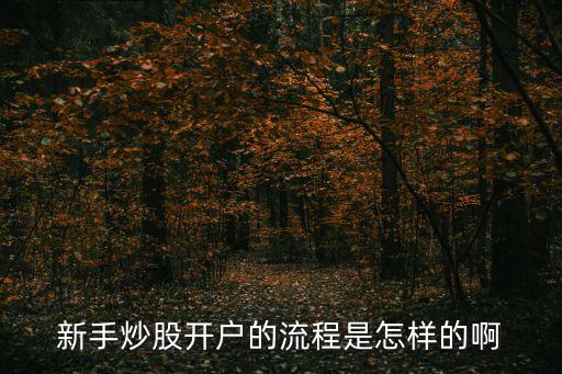 新手炒股開(kāi)戶的流程是怎樣的啊