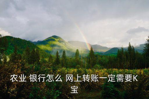 農業(yè) 銀行怎么 網(wǎng)上轉賬一定需要K寶
