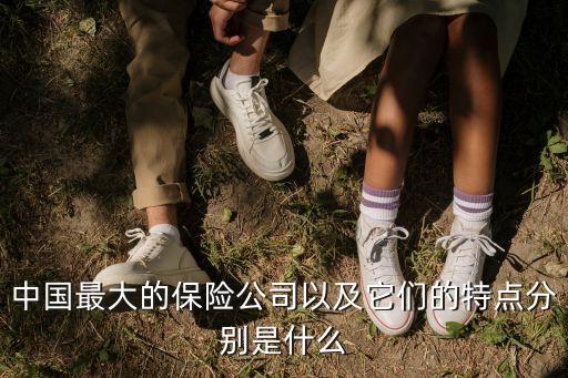 中國最大的保險公司以及它們的特點(diǎn)分別是什么