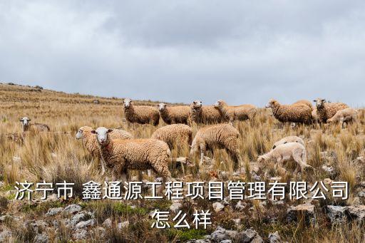 濟(jì)寧市 鑫通源工程項目管理有限公司怎么樣