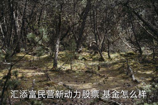 匯添富民營新動(dòng)力股票 基金怎么樣