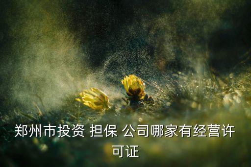 鄭州市投資 擔保 公司哪家有經營許可證