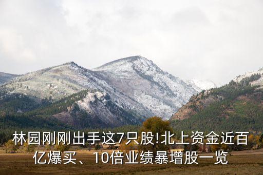 林園剛剛出手這7只股!北上資金近百億爆買、10倍業(yè)績暴增股一覽