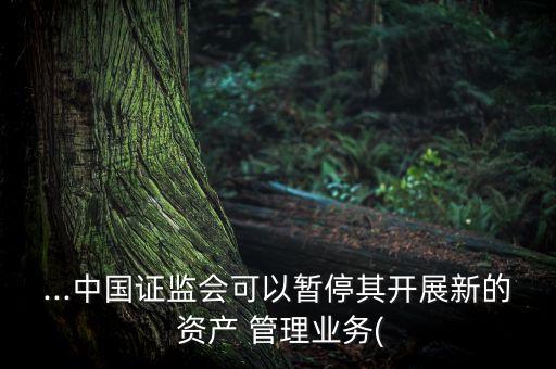 中國期貨資產管理,期貨資產管理業(yè)務正式開展于哪一年