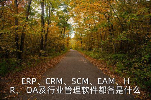 ERP、CRM、SCM、EAM、HR、 OA及行業(yè)管理軟件都各是什么