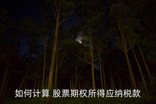 如何計算 股票期權所得應納稅款