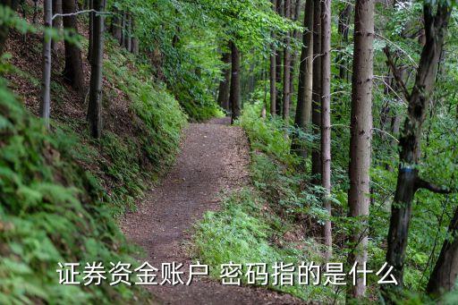 證券資金賬戶(hù) 密碼指的是什么