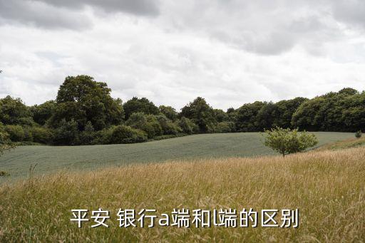 平安銀行窗口業(yè)務區(qū)分