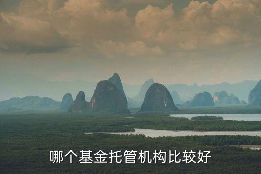 哪個基金托管機構比較好