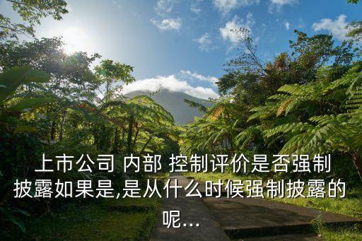  上市公司 內(nèi)部 控制評價是否強(qiáng)制披露如果是,是從什么時候強(qiáng)制披露的呢...