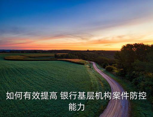 如何有效提高 銀行基層機構案件防控能力