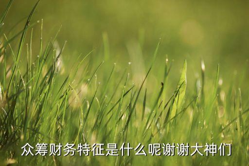  眾籌財務特征是什么呢謝謝大神們