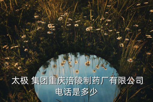 太極 集團(tuán)重慶涪陵制藥廠有限公司電話(huà)是多少