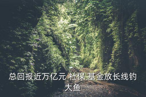 智利的社?；鹜顿Y收益率,社保基金2022年投資收益率