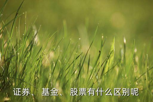 證券、 基金、 股票有什么區(qū)別呢