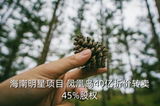 海南明星項目 鳳凰島40億折價轉賣45%股權