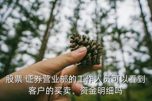 股票 證券營業(yè)部的工作人員可以看到客戶的買賣、資金明細(xì)嗎
