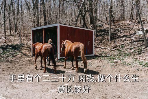 閑錢(qián)20萬(wàn)2016年投資什么好